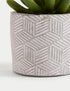 Marks & Spencer "Artificial Mini Succulent in Concrete Pot"